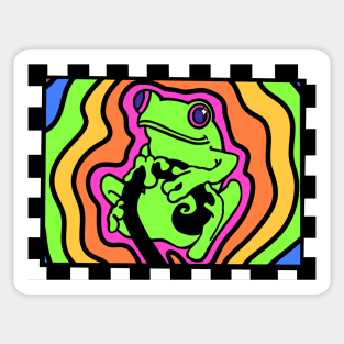 Rainbow Groovy Gay Pride Red Eyed Tree Frog Sticker